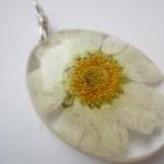 Dried Flower Resin Pendant,..